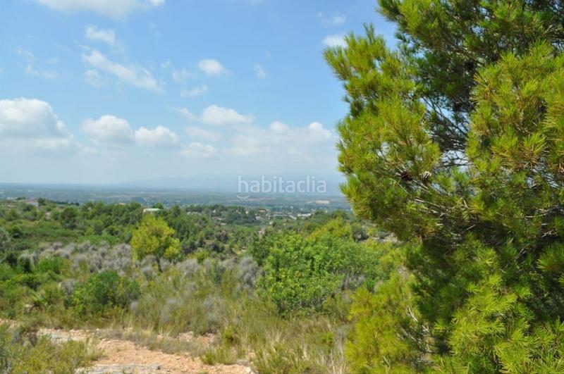 Foto 14756875-36d7-4598-891e-48f37b3305cf. Fondo rustico in camí del barranc de la llet 26 in Tortosa