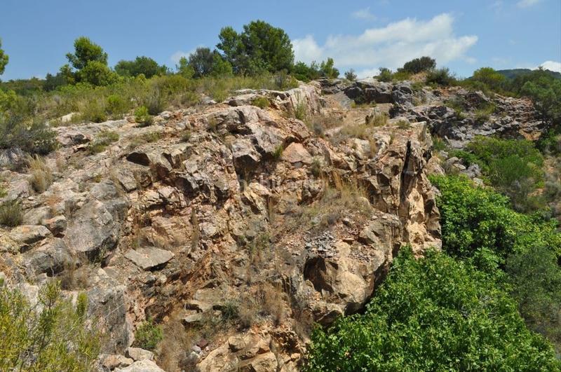 Foto 15577a38-59b7-412f-b43d-f43bf2405470. Fondo rustico in camí del barranc de la llet 26 in Tortosa