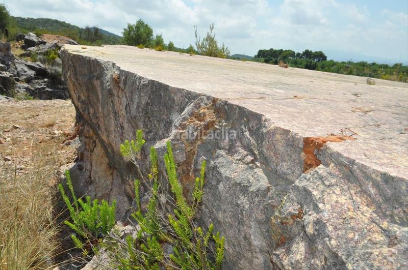 Foto 1a01b26f-b9a3-4b3f-b035-0d975a1c07be. Fondo rustico in camí del barranc de la llet 26 in Tortosa