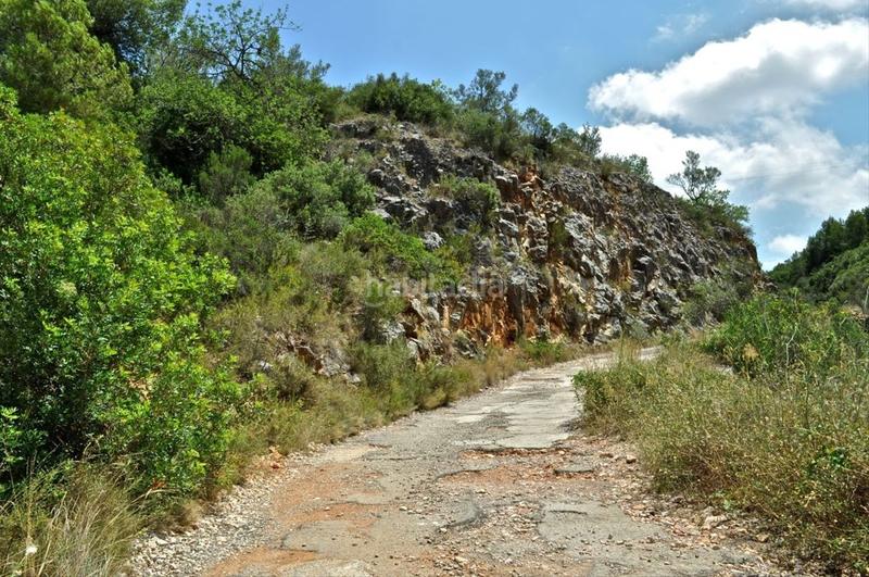 Foto 2331d5ef-32aa-4610-881f-8272eeb6a164. Fondo rustico in camí del barranc de la llet 26 in Tortosa