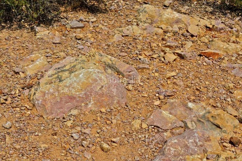 Foto 2718f33a-cca4-449a-b952-370de6919fb8. Fondo rustico in camí del barranc de la llet 26 in Tortosa