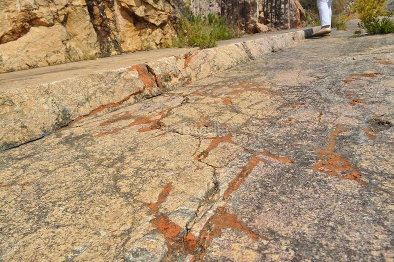 Foto 29c4cf9f-dfa8-4e13-a971-04a14b57641c. Fondo rustico in camí del barranc de la llet 26 in Tortosa