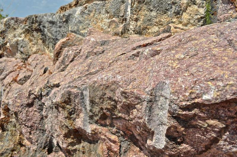 Foto 2f4a2188-b5f2-4eb0-b76b-065d30736d94. Fondo rustico in camí del barranc de la llet 26 in Tortosa