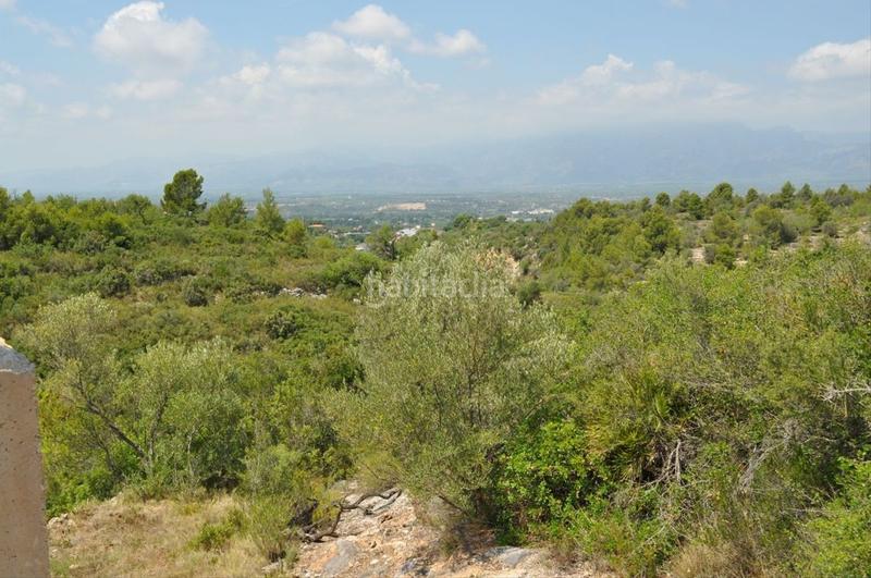 Foto 349333af-f6f5-4446-9713-67a0ec2b1a04. Fondo rustico in camí del barranc de la llet 26 in Tortosa