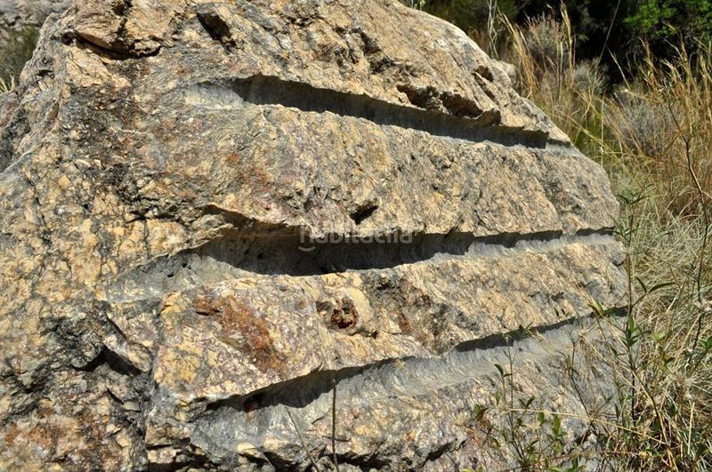 Foto 3866fab7-d27f-4de0-ae15-0105d33f63a3. Fondo rustico in camí del barranc de la llet 26 in Tortosa