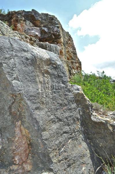 Foto 3925b641-defd-48c2-8323-1de707c06113. Fondo rustico in camí del barranc de la llet 26 in Tortosa