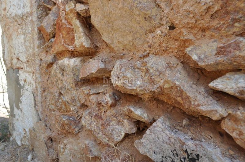 Foto 3e54bc9c-0e55-41c5-88cd-2109f5e2550a. Fondo rustico in camí del barranc de la llet 26 in Tortosa