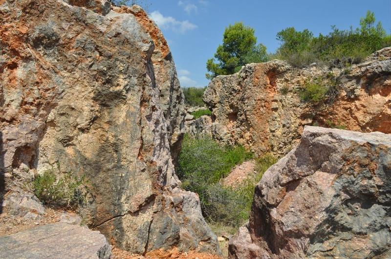 Foto 3fe2f154-45af-48a8-b396-d3bfd73279f4. Fondo rustico in camí del barranc de la llet 26 in Tortosa