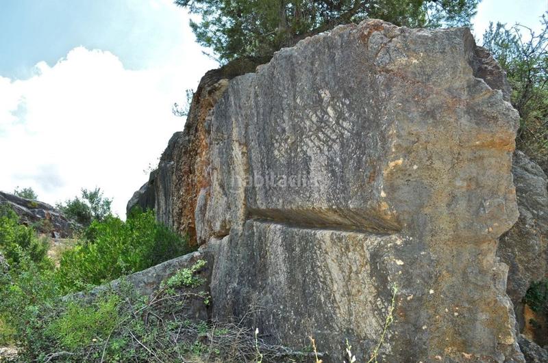 Foto 4382091d-6308-425e-8ee2-76e63e75ee5c. Fondo rustico in camí del barranc de la llet 26 in Tortosa