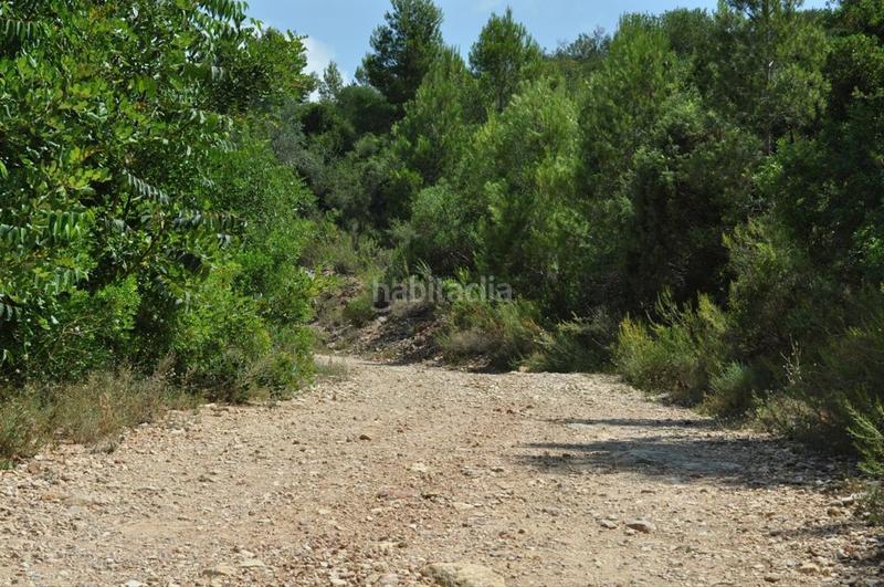 Foto 44aa2ba7-fab9-4117-9150-7da475e498b8. Fondo rustico in camí del barranc de la llet 26 in Tortosa