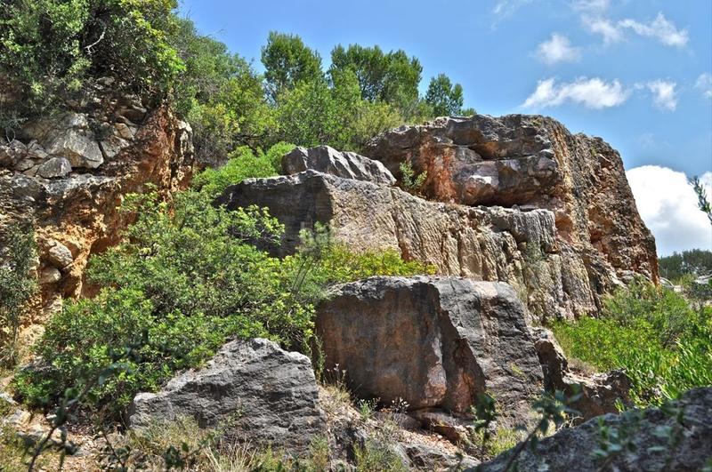 Foto 46f14c59-c90e-488f-95f0-188ce46005da. Fondo rustico in camí del barranc de la llet 26 in Tortosa