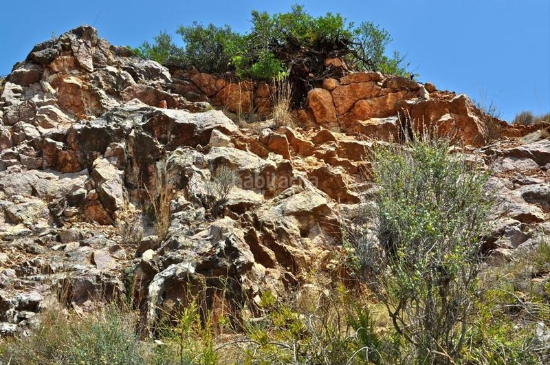 Foto 4ab9967c-e9f7-4a51-bd55-2eb6bf52fb46. Fondo rustico in camí del barranc de la llet 26 in Tortosa