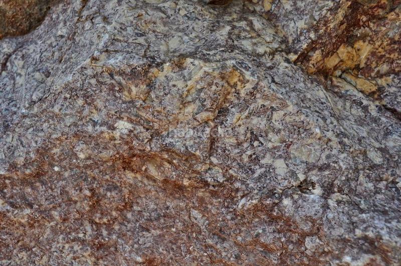 Foto 4f207a90-bd43-45c0-a49c-217b36a6d356. Fondo rustico in camí del barranc de la llet 26 in Tortosa