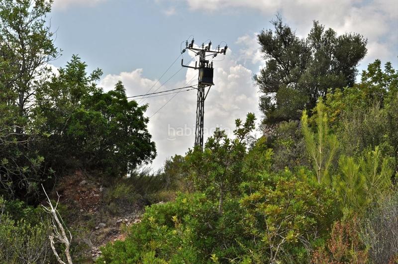 Foto 550b558c-43be-4c0a-b3d9-6a50ac7f4c25. Fondo rustico in camí del barranc de la llet 26 in Tortosa
