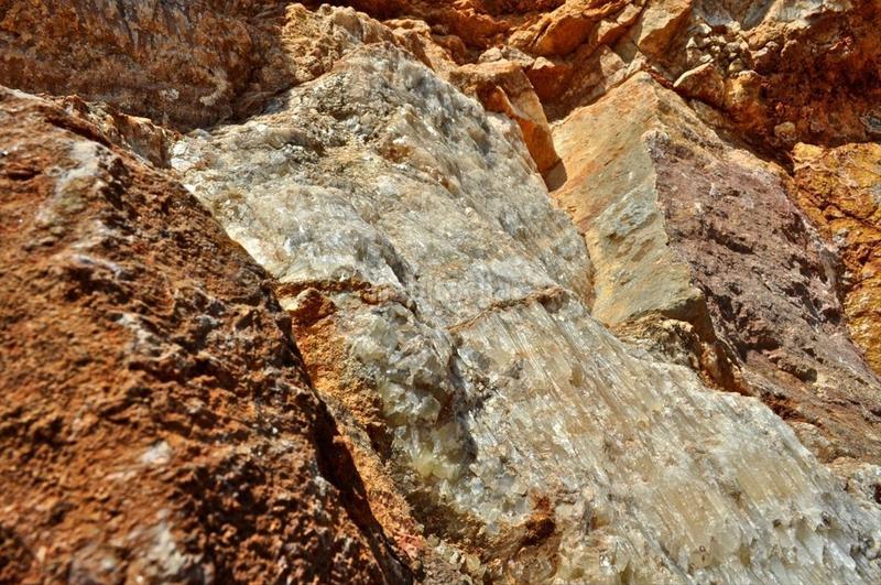 Foto 565b1b33-f80a-4c0a-b5be-ef5ca2ce8efb. Fondo rustico in camí del barranc de la llet 26 in Tortosa