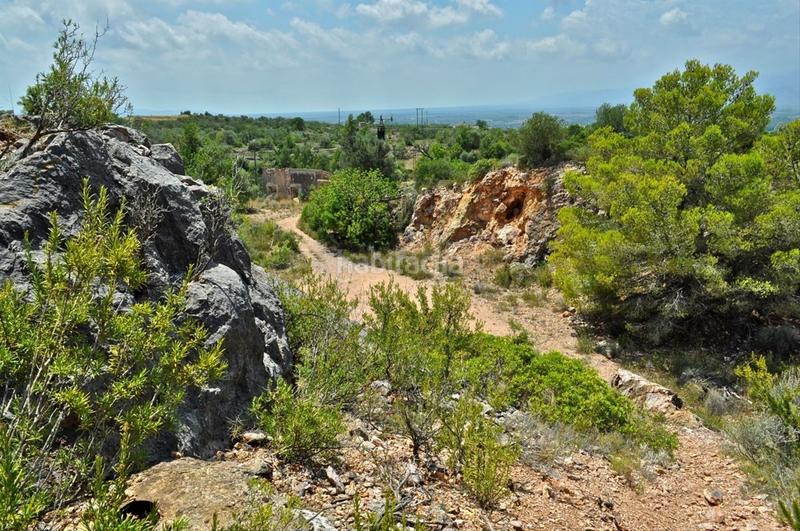 Foto 594f24ee-c6b0-4c77-903a-481f59154a88. Fondo rustico in camí del barranc de la llet 26 in Tortosa