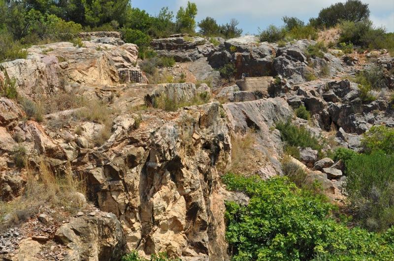 Foto 597ac8ff-6e3b-412b-b199-8c1874aedd4c. Fondo rustico in camí del barranc de la llet 26 in Tortosa