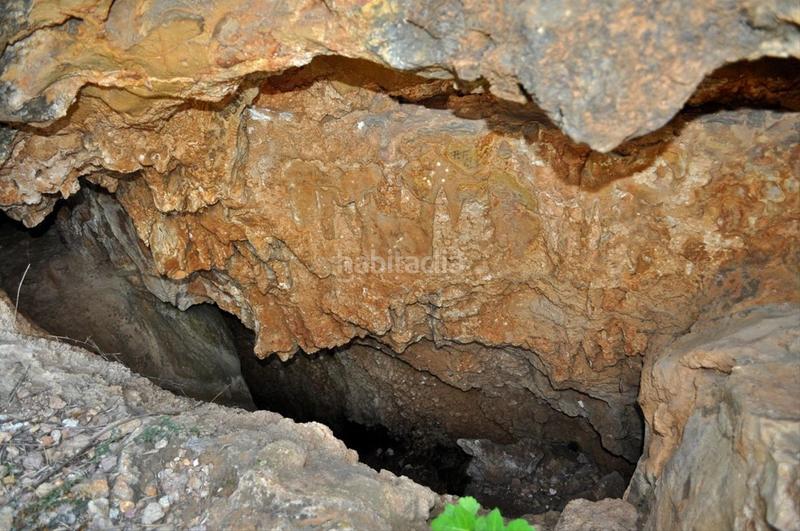 Foto 5e0576f1-59a5-4238-9a4c-7a16f867d92f. Fondo rustico in camí del barranc de la llet 26 in Tortosa