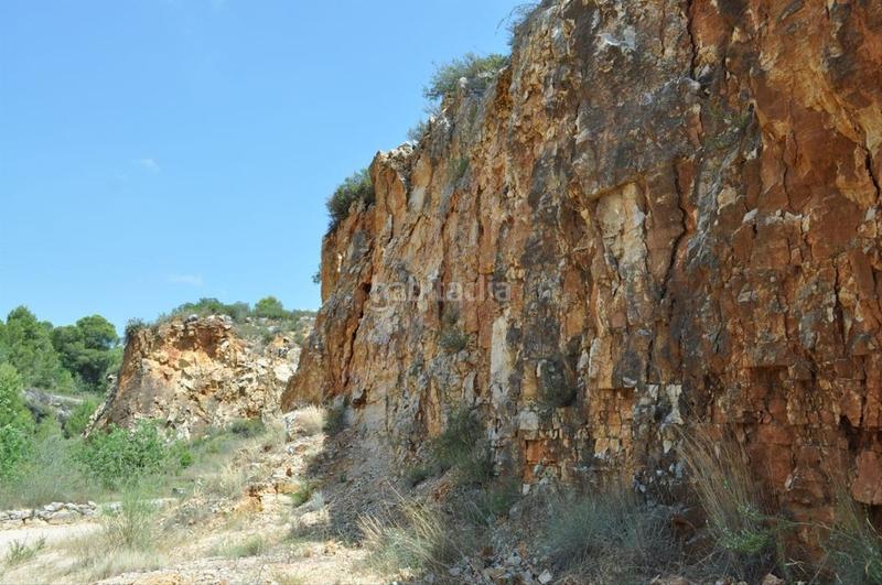 Foto 6645b588-93e0-4c3f-bb6d-0e02c8eef715. Fondo rustico in camí del barranc de la llet 26 in Tortosa