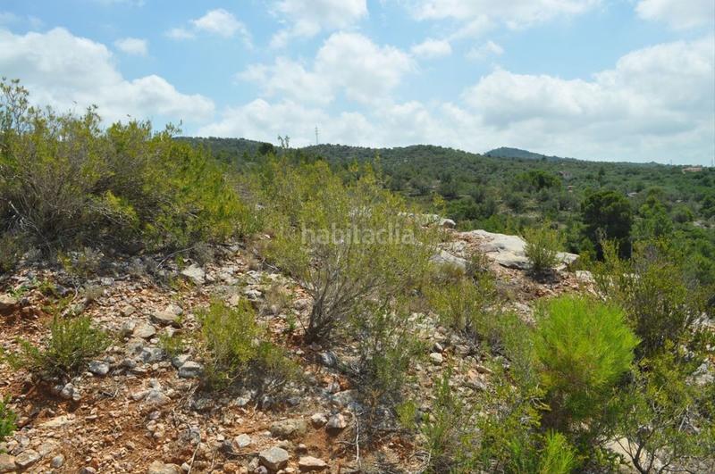 Foto 67942bb3-bce7-4aff-b4ac-566223e4af9b. Fondo rustico in camí del barranc de la llet 26 in Tortosa