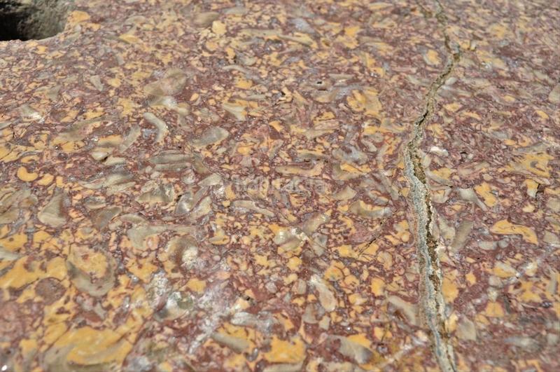 Foto 67d9fe65-42b2-4983-acef-4fb9d3053972. Fondo rustico in camí del barranc de la llet 26 in Tortosa