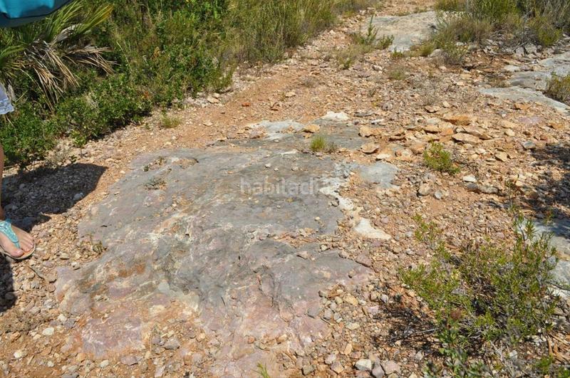 Foto 689f87d1-7e49-41c2-b09f-c541fdbe3bc6. Fondo rustico in camí del barranc de la llet 26 in Tortosa