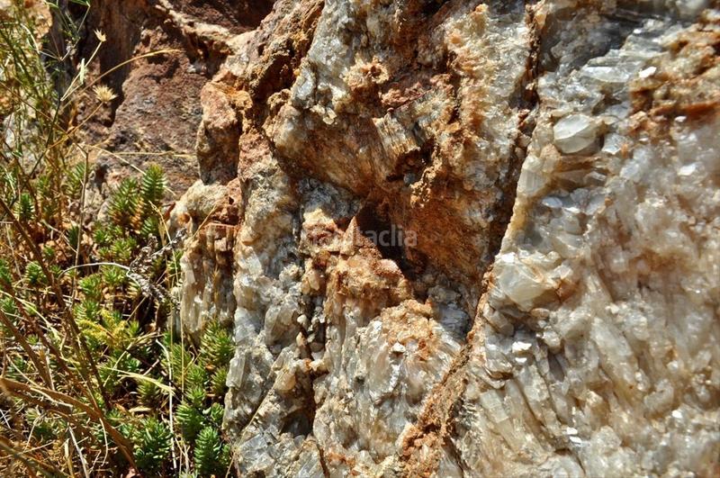 Foto 696ff930-69a2-4b13-81ad-33811c19f773. Fondo rustico in camí del barranc de la llet 26 in Tortosa