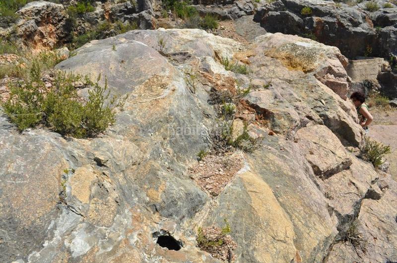 Foto 6d15d4b2-135e-4798-9e25-4190eed460d4. Fondo rustico in camí del barranc de la llet 26 in Tortosa