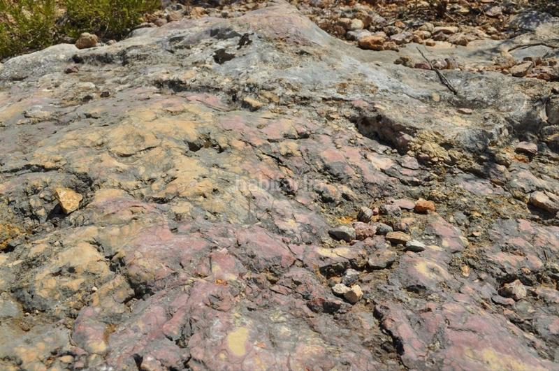 Foto 6e10f2fb-26e1-45e1-81fa-24cba69f03af. Fondo rustico in camí del barranc de la llet 26 in Tortosa