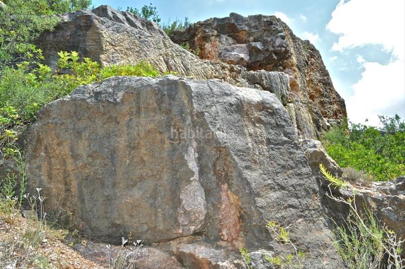 Foto 70b06c66-8a28-443d-b9be-0238c0cab03e. Fondo rustico in camí del barranc de la llet 26 in Tortosa