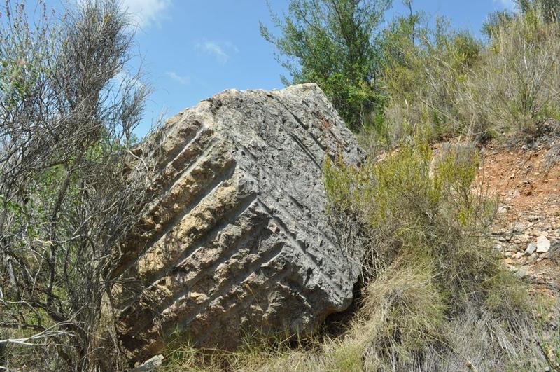 Foto 7105c109-eeb4-4313-97cd-f1d6d59a58bd. Fondo rustico in camí del barranc de la llet 26 in Tortosa