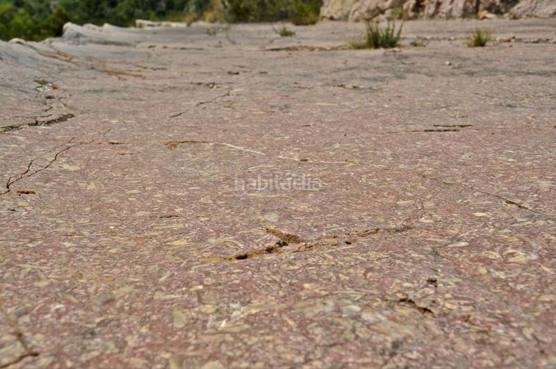 Foto 785de6b9-2f47-4378-851e-ae9a97df4d15. Fondo rustico in camí del barranc de la llet 26 in Tortosa