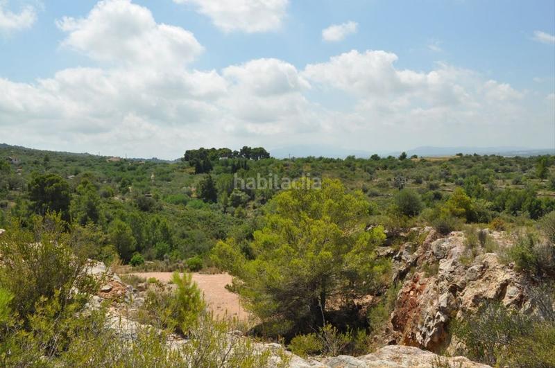 Foto 790632b7-f2af-49fe-860a-3de99a583c57. Fondo rustico in camí del barranc de la llet 26 in Tortosa