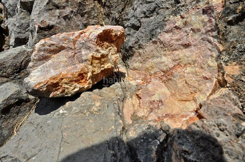 Foto 7ace1ff5-f72c-480b-83f2-0958e29ebd13. Fondo rustico in camí del barranc de la llet 26 in Tortosa