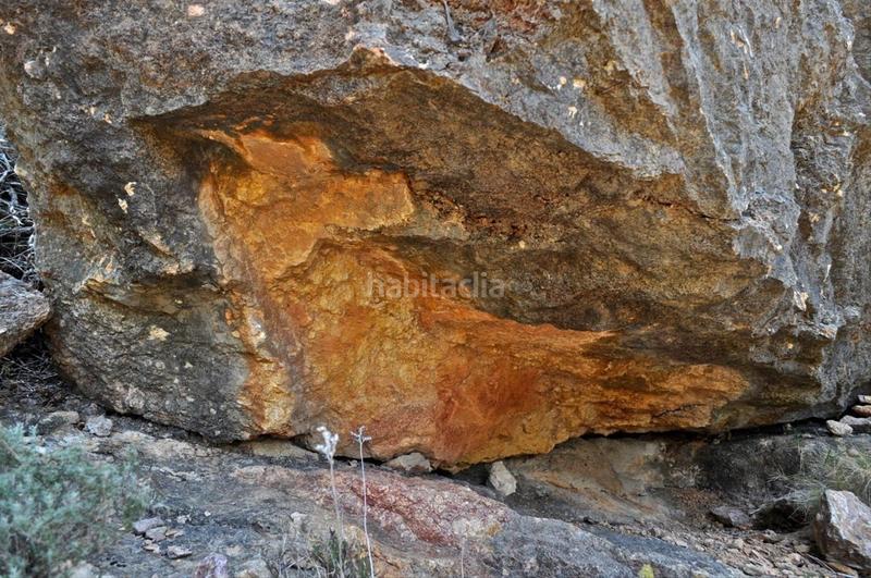 Foto 7e419f1d-2edc-4308-b407-ac723ff4bd72. Fondo rustico in camí del barranc de la llet 26 in Tortosa