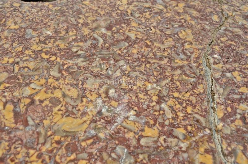 Foto 83ed6597-d023-47de-9b90-51b6c780520a. Fondo rustico in camí del barranc de la llet 26 in Tortosa