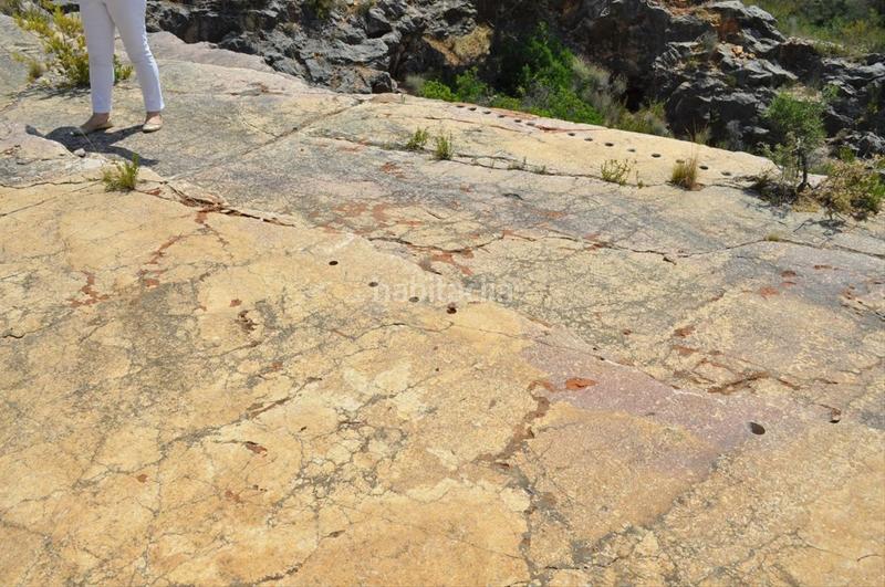 Foto 846afa47-5f83-40d4-8afa-3e30d3877ccd. Fondo rustico in camí del barranc de la llet 26 in Tortosa