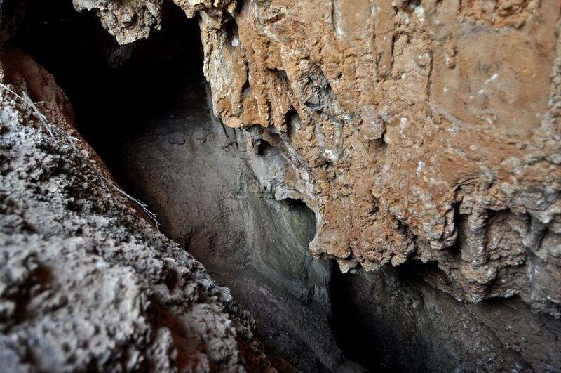 Foto 915c33fb-b168-4a72-a059-ca779c3a0186. Fondo rustico in camí del barranc de la llet 26 in Tortosa