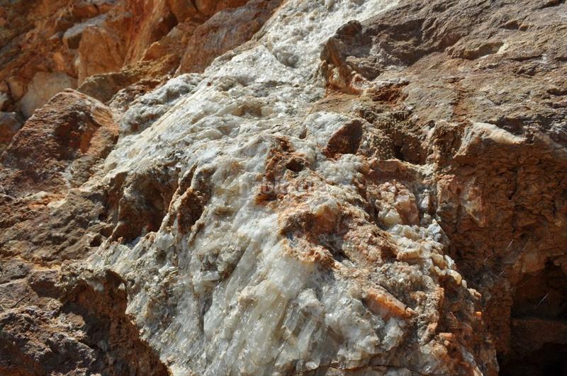 Foto 967f83bc-309d-4b88-a5b9-a8ba9cd7d0eb. Fondo rustico in camí del barranc de la llet 26 in Tortosa