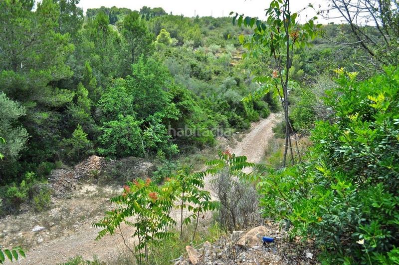 Foto 9801f1d4-8269-447e-a1b9-266ab34154e7. Fondo rustico in camí del barranc de la llet 26 in Tortosa