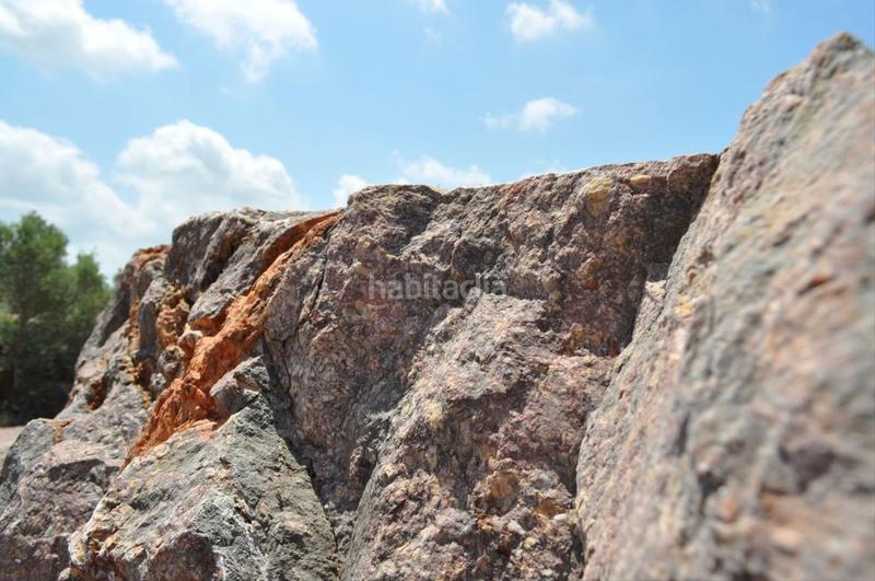 Foto 98b952c3-6988-4198-b6d0-ea5072e965d1. Fondo rustico in camí del barranc de la llet 26 in Tortosa