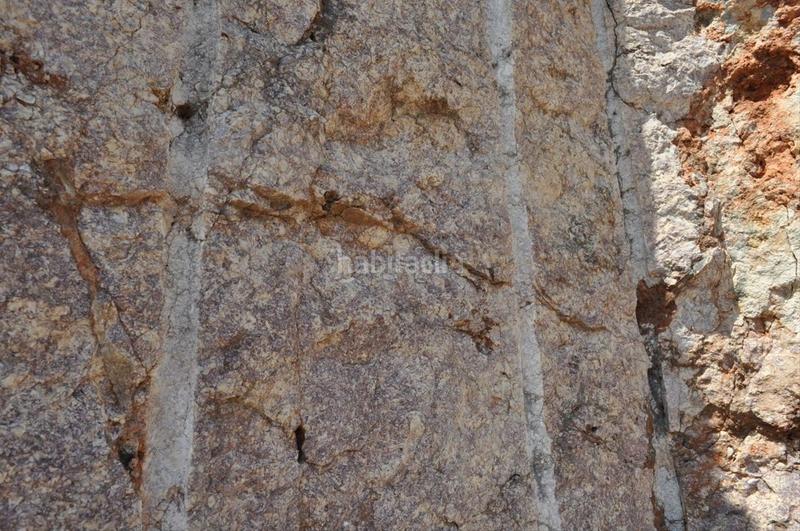 Foto 9b41e03a-a4fa-4687-97a2-3e4910352c00. Fondo rustico in camí del barranc de la llet 26 in Tortosa