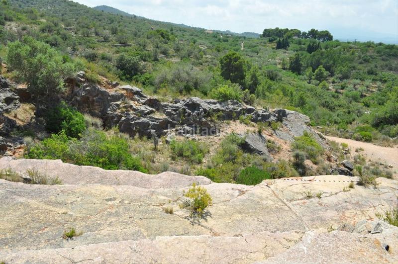 Foto 9b9da1ec-1e66-4f87-964e-c0fb98da3444. Fondo rustico in camí del barranc de la llet 26 in Tortosa