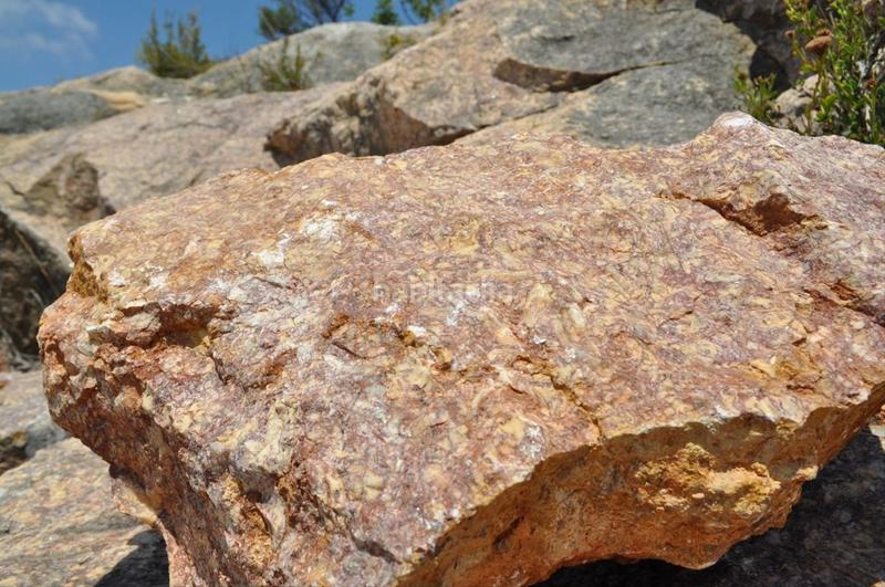 Foto 9f9ec10d-6434-4571-8126-d029296fc910. Fondo rustico in camí del barranc de la llet 26 in Tortosa