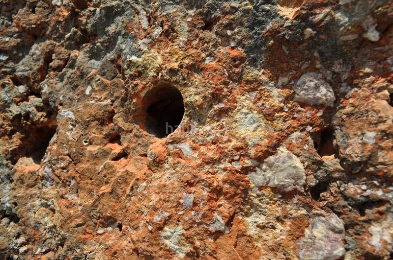 Foto a00ffcaa-e1b7-41d0-ba1c-35955298a79d. Fondo rustico in camí del barranc de la llet 26 in Tortosa