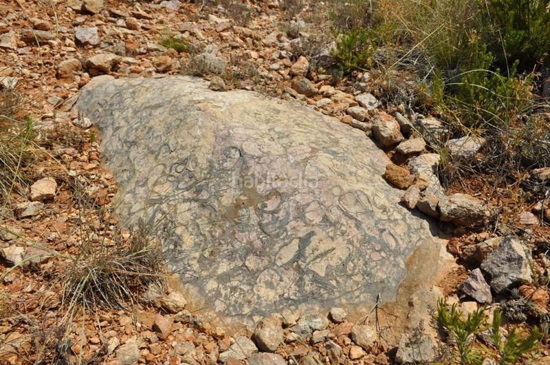 Foto a1518e6b-2f85-410d-820f-ec00f9780d73. Fondo rustico in camí del barranc de la llet 26 in Tortosa