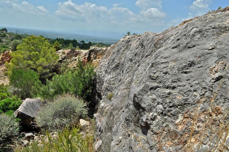 Foto a1afb125-781c-4907-937c-4161d10ded00. Fondo rustico in camí del barranc de la llet 26 in Tortosa