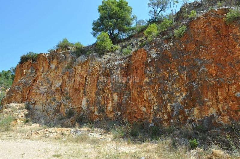Foto a5fe5956-93e9-414b-9683-d9a1f287f928. Fondo rustico in camí del barranc de la llet 26 in Tortosa