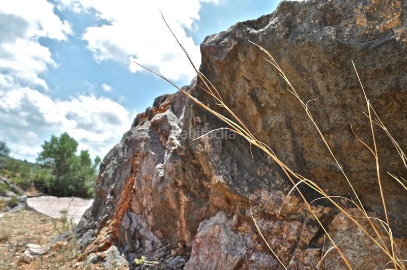 Foto a703626d-e0e2-46df-aaf7-602e2248010f. Fondo rustico in camí del barranc de la llet 26 in Tortosa