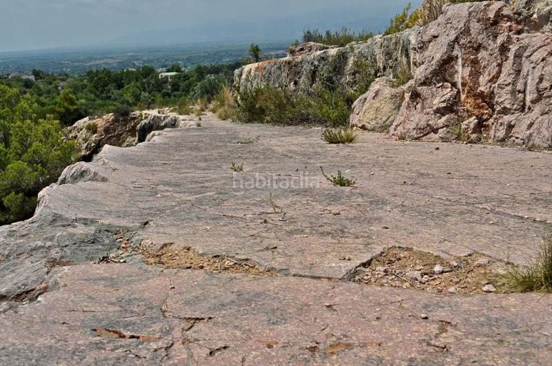 Foto ac823c12-3b01-4db2-adbe-e3ccd571481f. Fondo rustico in camí del barranc de la llet 26 in Tortosa